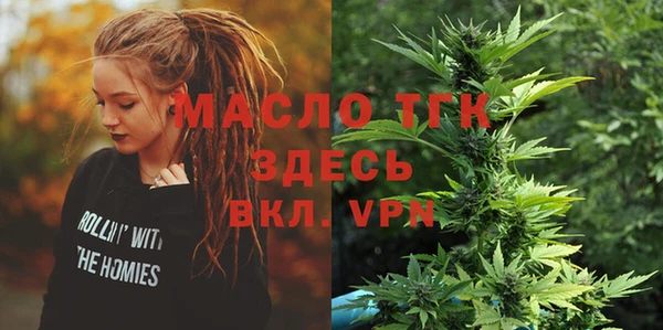 молекула духа Вязьма