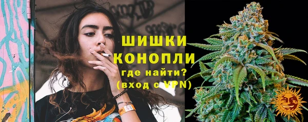 дурь Горно-Алтайск