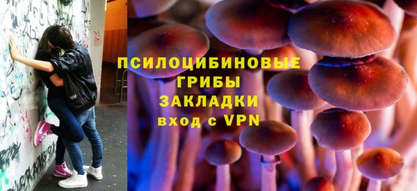 a pvp Горняк