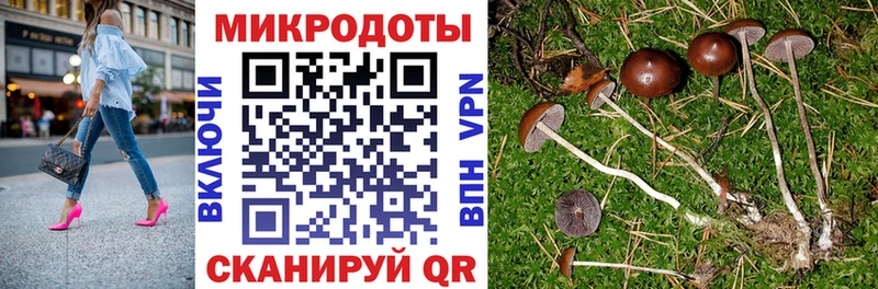 Псилоцибиновые грибы ЛСД  Купить где  Красный Холм 